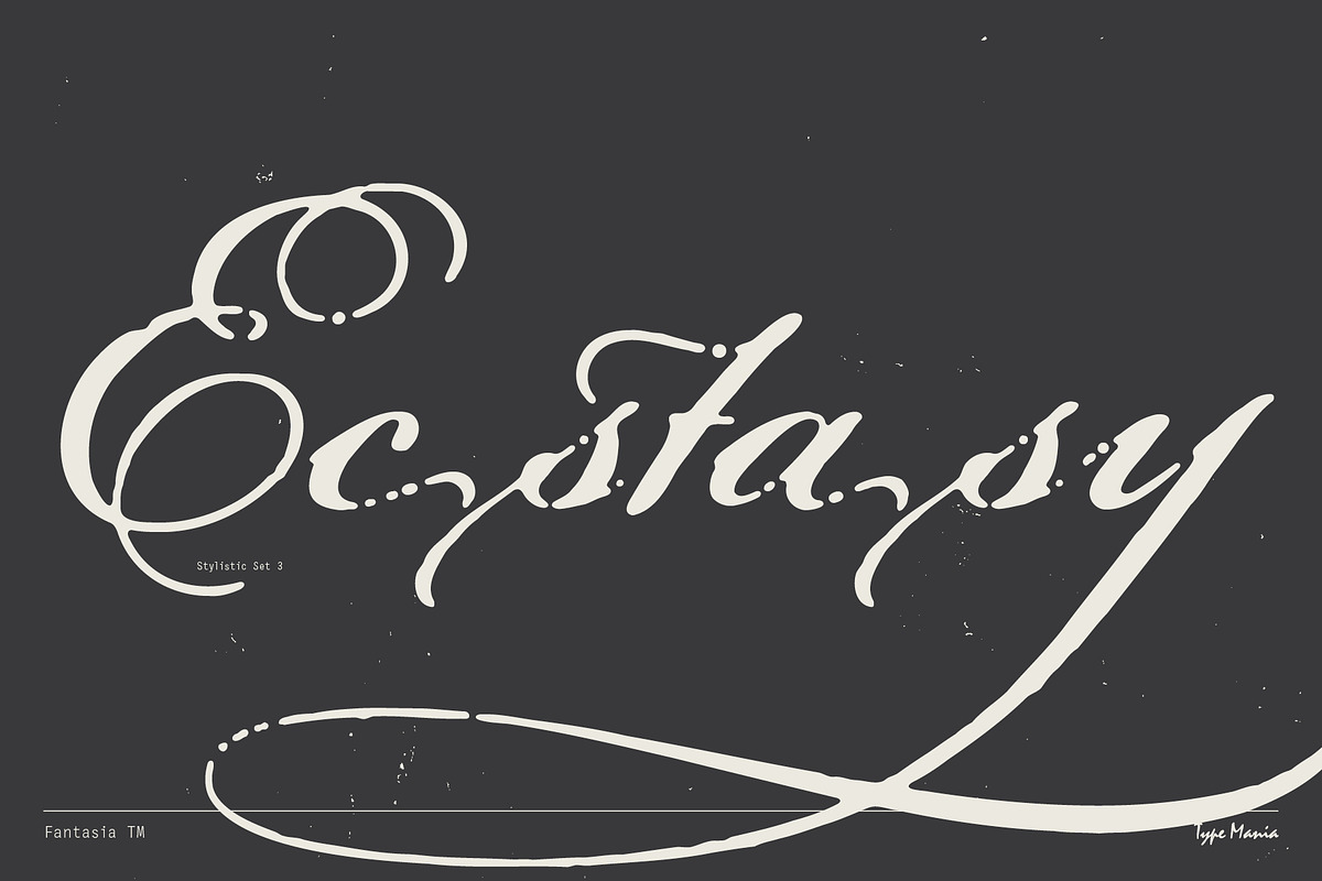 Fantasia TM – Dreamy Script, a Font by Type Mania (Photo 7 of 12)