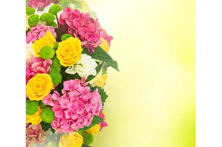 pink hortensia flowers, a Nature Photo by Neirfy