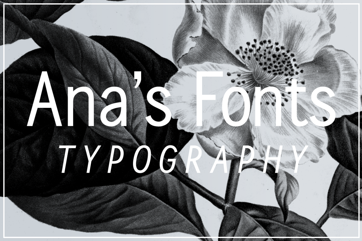 Calling Cards sans serif font, a Sans Serif Font by Ana's Fonts (Photo 2 of 7)