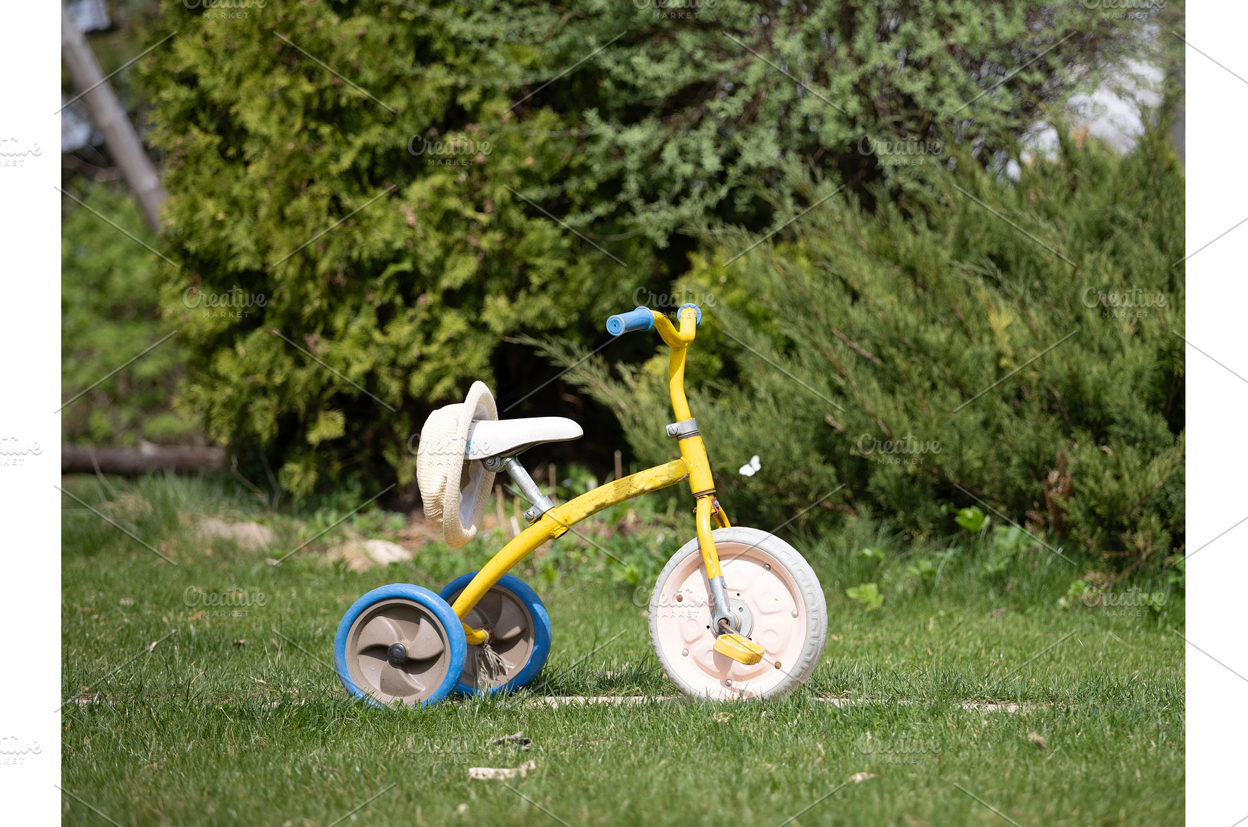 children's bicycle on the grass, a Nature Photo by Nenahliadava Design