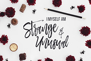 Hallow's Eve Mini Photo Bundle, a Pens & Pencil Mockup by Ashley Alexandra Design (Thumbnail 5 of 8)