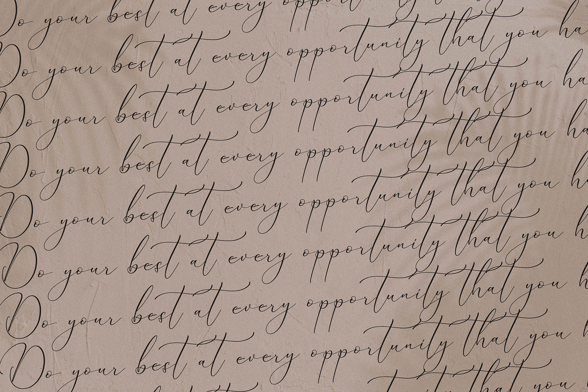 Qinarsi, a Script Font by Integritype Studio (Photo 13 of 15)