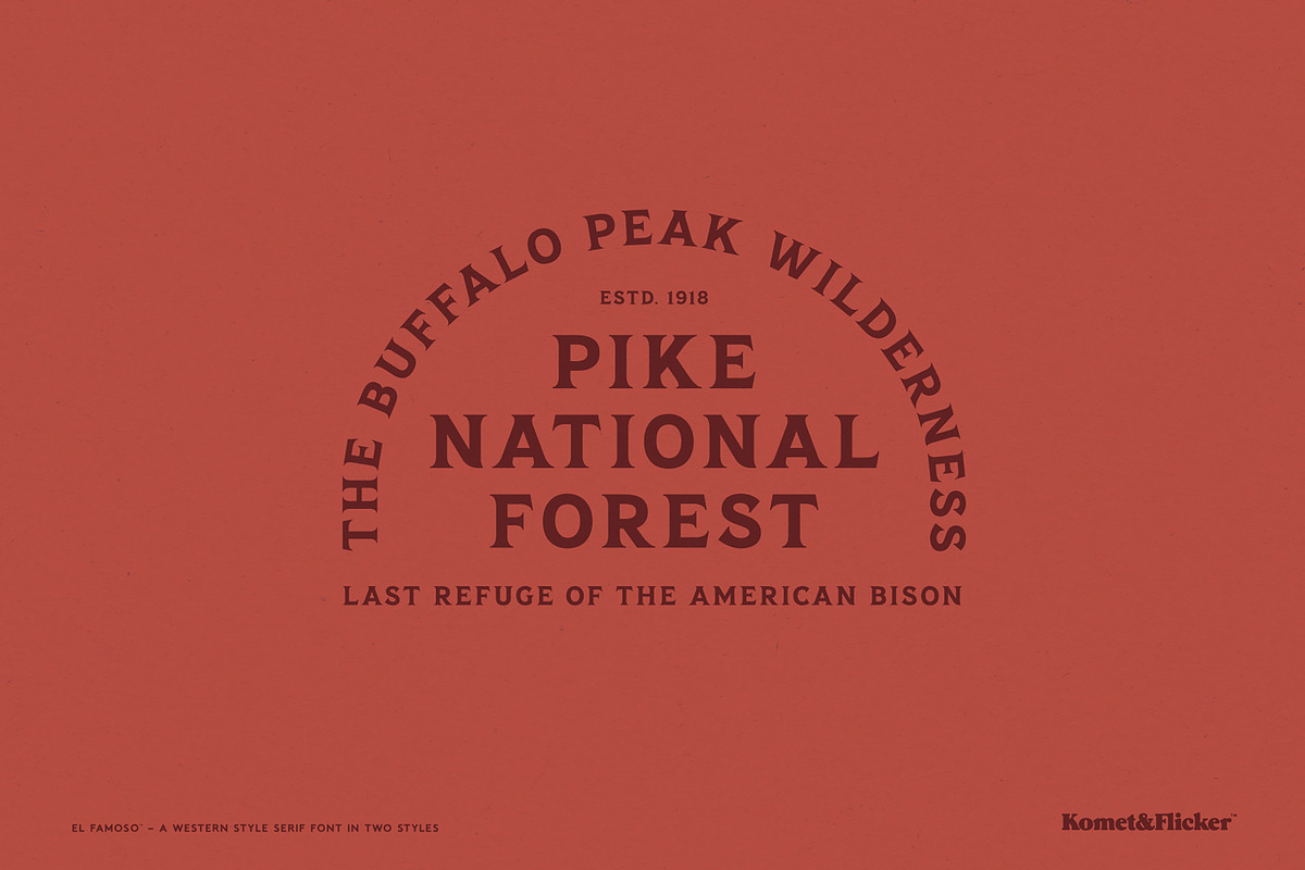 El Famoso - A Western Style Font, a Serif Font by Komet & Flicker (Photo 10 of 12)