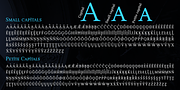 Manas VF, a Serif Font by Fontuma (Thumbnail 4 of 12)