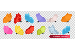 Colorful butterfly side view vector, an Animal Illustration by Yayasya