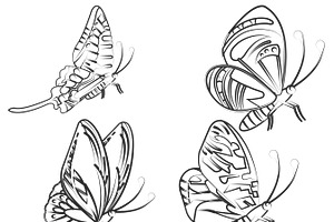 Butterfly Outlines Set 2 Procreate