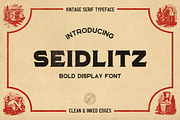 Seidlitz Font, a Font by Bart Wesolek (Thumbnail 1 of 4)