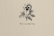 Myrtle Aroma Handwritten Script, a Handwritten Font by AnMark (Thumbnail 17 of 17)