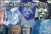 Authentic Cyanotype LUTs, a Plug-in Add-On by Raztrend (Thumbnail 1 of 32)