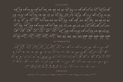 Anchesty Montaine Stylish Font, a Script Font by stylishtype.co (Thumbnail 19 of 20)