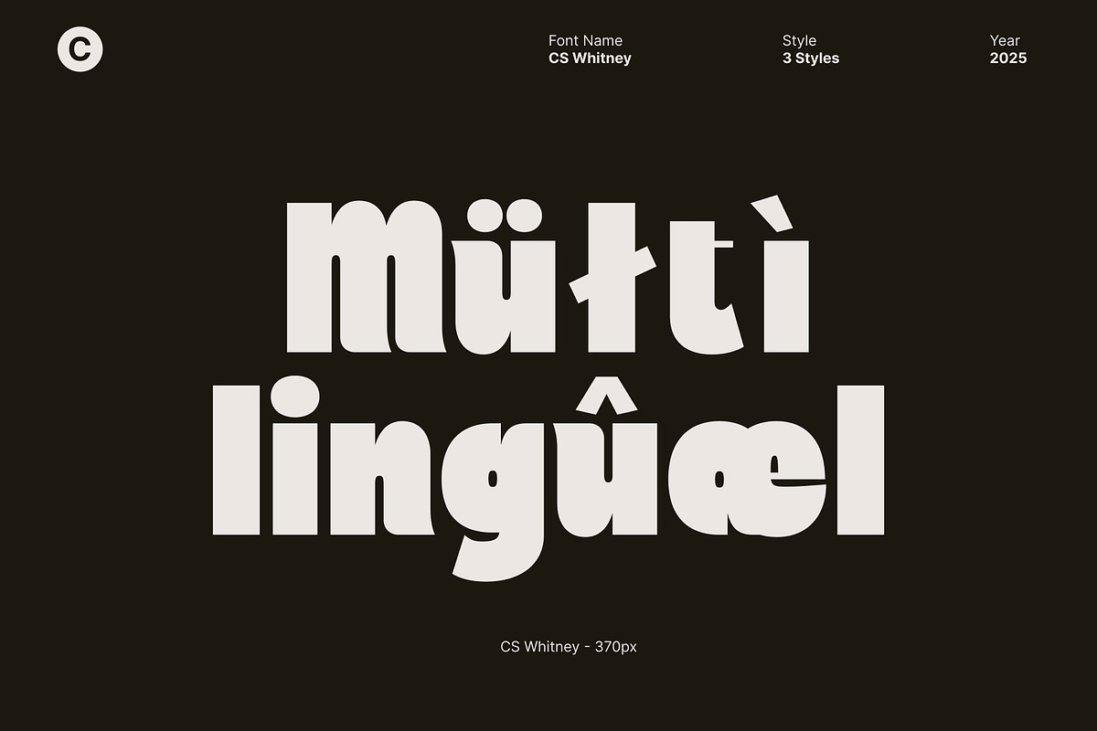 CS Whitney – Chunky Display Font, a Sans Serif Font by Craft Supply Co. (Photo 5 of 8)