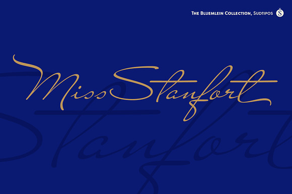 Miss Stanfort Pro preview 7