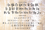 Sunlight | Script Font, a Script Font by Scratchones (Thumbnail 7 of 8)