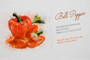 Watercolor Fruits - After Effects, a Templates & Theme by ConceptCafe (Thumbnail 13 of 14)