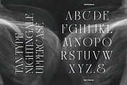 TAN - NIGHTINGALE, a Serif Font by TanType (Thumbnail 8 of 15)