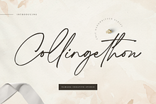 Collingethon Chic Handwritten Script
