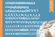 Blush Angeles Modern Serif Font, a Serif Font by timelesstype.co (Thumbnail 19 of 20)