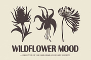 Wildflower Mood: 100 Floral Elements, an Object Illustration by Veyla (Thumbnail 1 of 13)