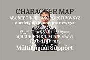 Kelvingi Rodrige Serif Font LS, a Serif Font by GranzCreative (Thumbnail 6 of 13)
