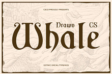 CS Whale Drawn
