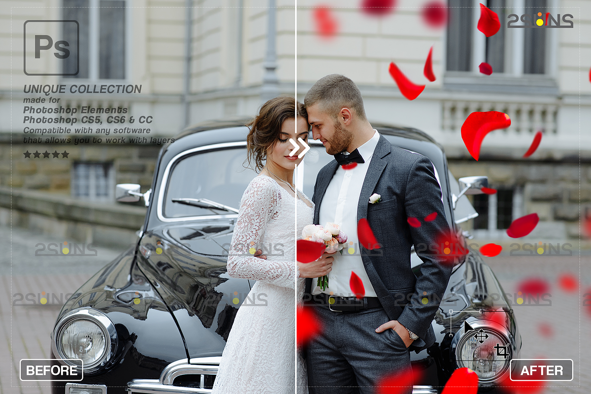 RED Rose Petals photo overlays, an Object Graphic by 2SUNS (Photo 8 of 10)
