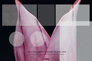 Transparent Paper Overlays, a Texture Graphic by Purple (Thumbnail 4 of 11)