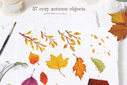 Autumn in the park, an Animal Illustration by Funnystore (Thumbnail 9 of 13)