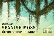 Spanish Moss Photoshop Brushes, a Brush Add-On by Mohamed Saber (Thumbnail 1 of 5)