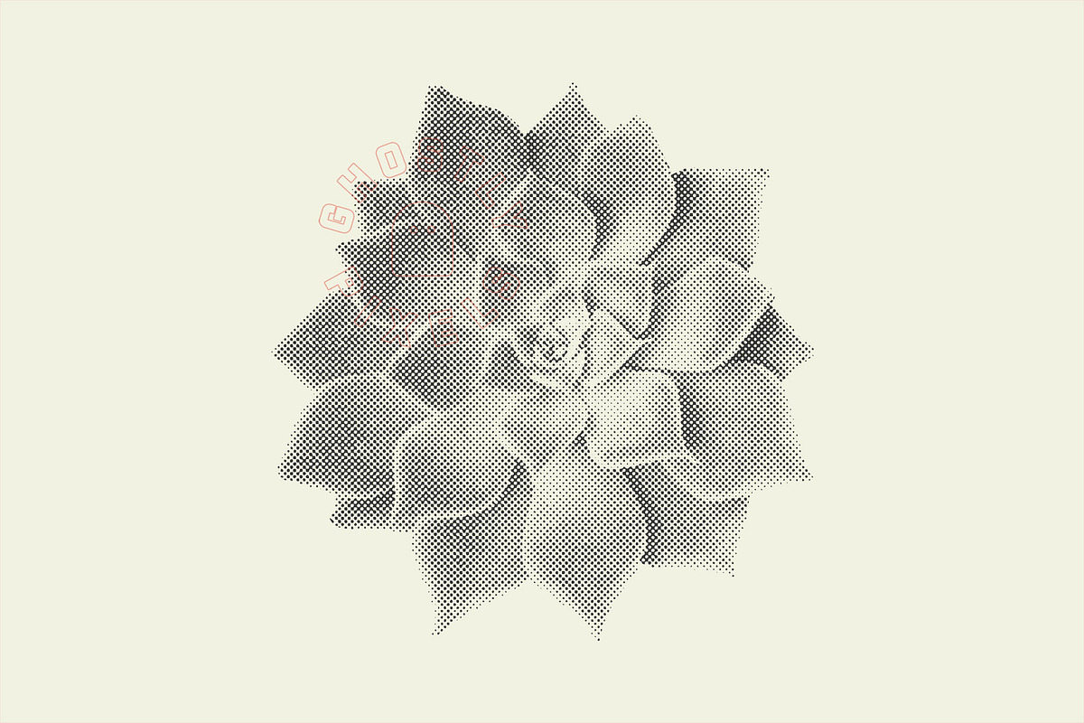Succulent Halftones, a Texture Graphic by GhostlyPixels (Photo 13 of 13)