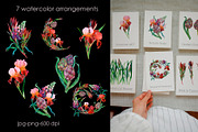 Shadow Grove Mystical Watercolor Kit, an Object Illustration by SunnJaneArt (Thumbnail 3 of 8)