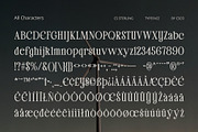 CS Sterling – Classic Font, a Serif Font by Craft Supply Co. (Thumbnail 8 of 8)