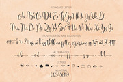 Shellonitha, a Script Font by Franstudio (Thumbnail 8 of 9)