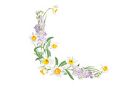 Daffodils Bouquets., an Object Graphic by Peolla (Thumbnail 5 of 9)