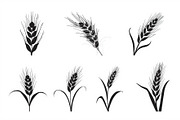 Grass & Wheat Files, an Illustration by jahid234 (Thumbnail 9 of 9)