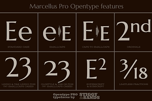 Marcellus Pro