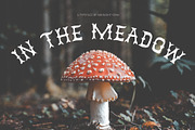 In the Meadow, a Serif Font by Midnight Grim (Thumbnail 1 of 8)