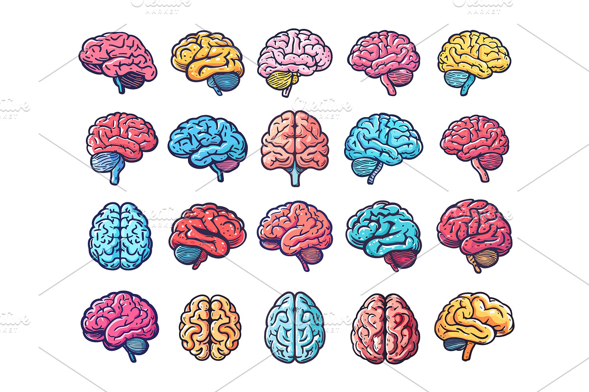 Colorful brain icons cartoon vector, an Education Illustration by Valerie Bodnar