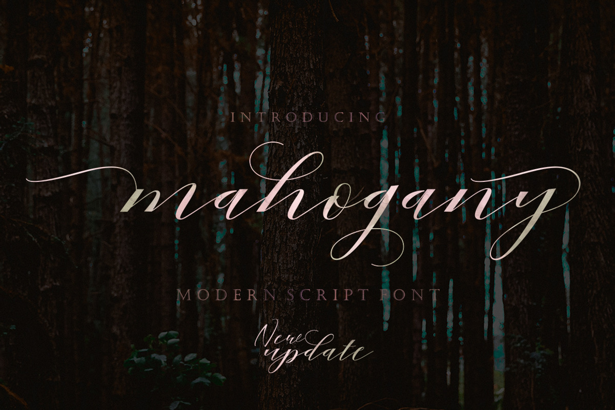 Mahogany Script, a Script Font by Areatype (Photo 1 of 8)