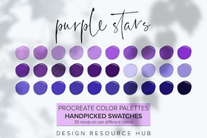 Procreate Color Palette Purple Stars