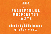 Gebila - Thumbnails Font, a Sans Serif Font by Flawless And Co (Thumbnail 9 of 10)