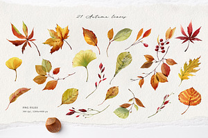 FALL MAGIC Watercolor Collecion