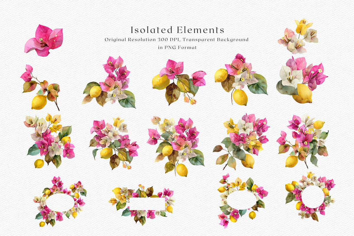 Watercolor Bouganvilleas and Lemons, a Decorative Illustration by ThaismotaCreativeCo (Photo 9 of 11)