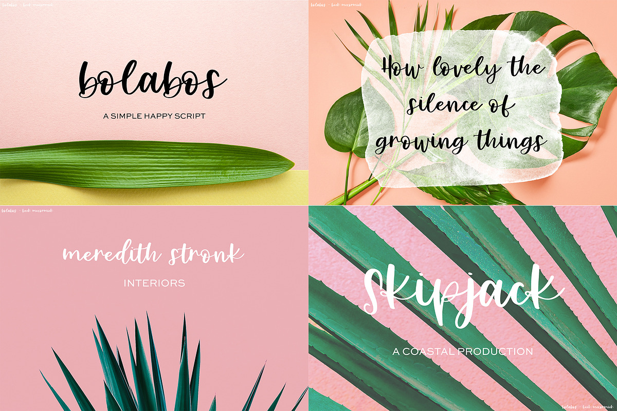 The Spring Font Bundle, a Handwritten Font by Beck McCormick (Photo 8 of 11)