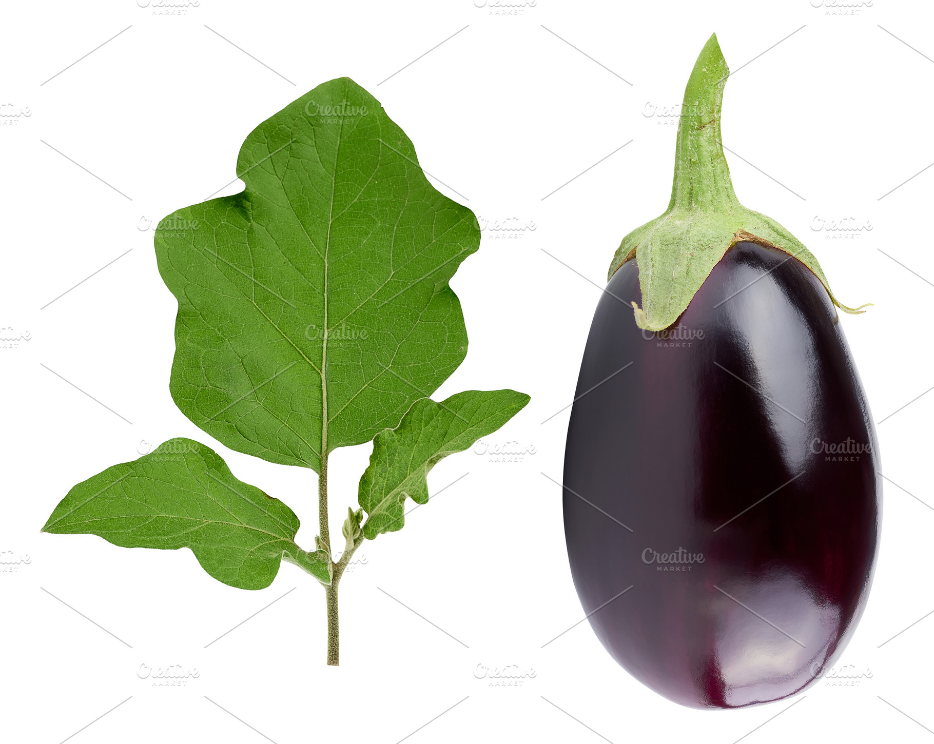 A ripe eggplant with a green stem and a green leaf against a iso, a Food & Drink Photo by ndanko