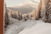 210 Christmas Winter Stock Photos, a Holiday Photo by Allure Art (Thumbnail 8 of 38)