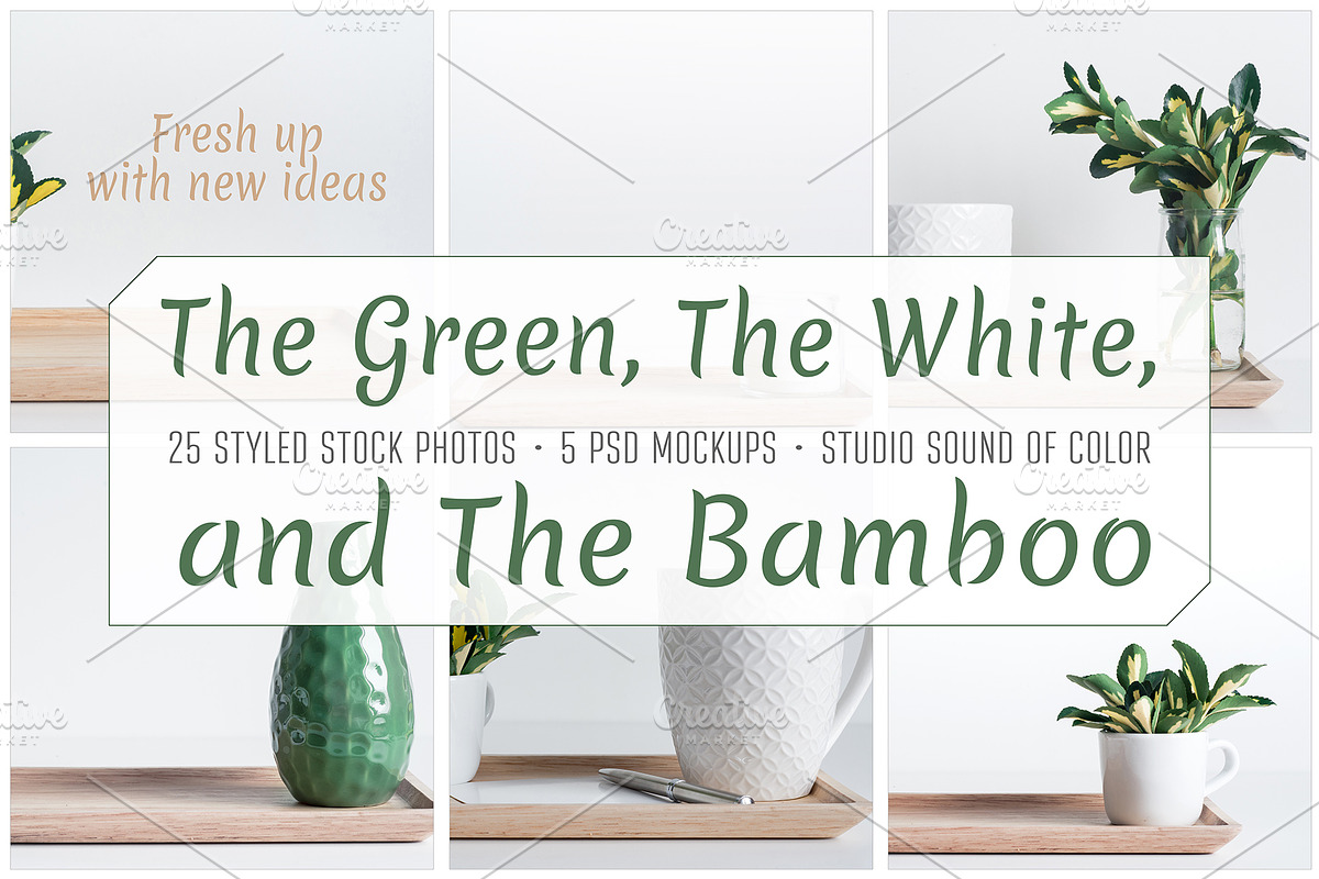 The Green, The White and The Bamboo, an Arts & Entertainment Photo by Sound of Color (Photo 5 of 10)