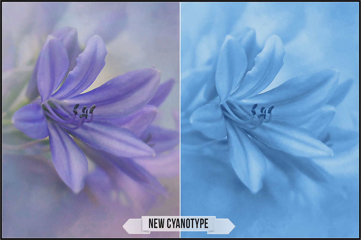 Authentic Cyanotype LUTs, a Plug-in Add-On by Raztrend (Photo 17 of 32)