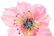 Handpainted Flowers, an Illustration by Karen Fields Design (Thumbnail 3 of 4)