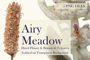 Airy Meadow – Dried Flower & Meadow