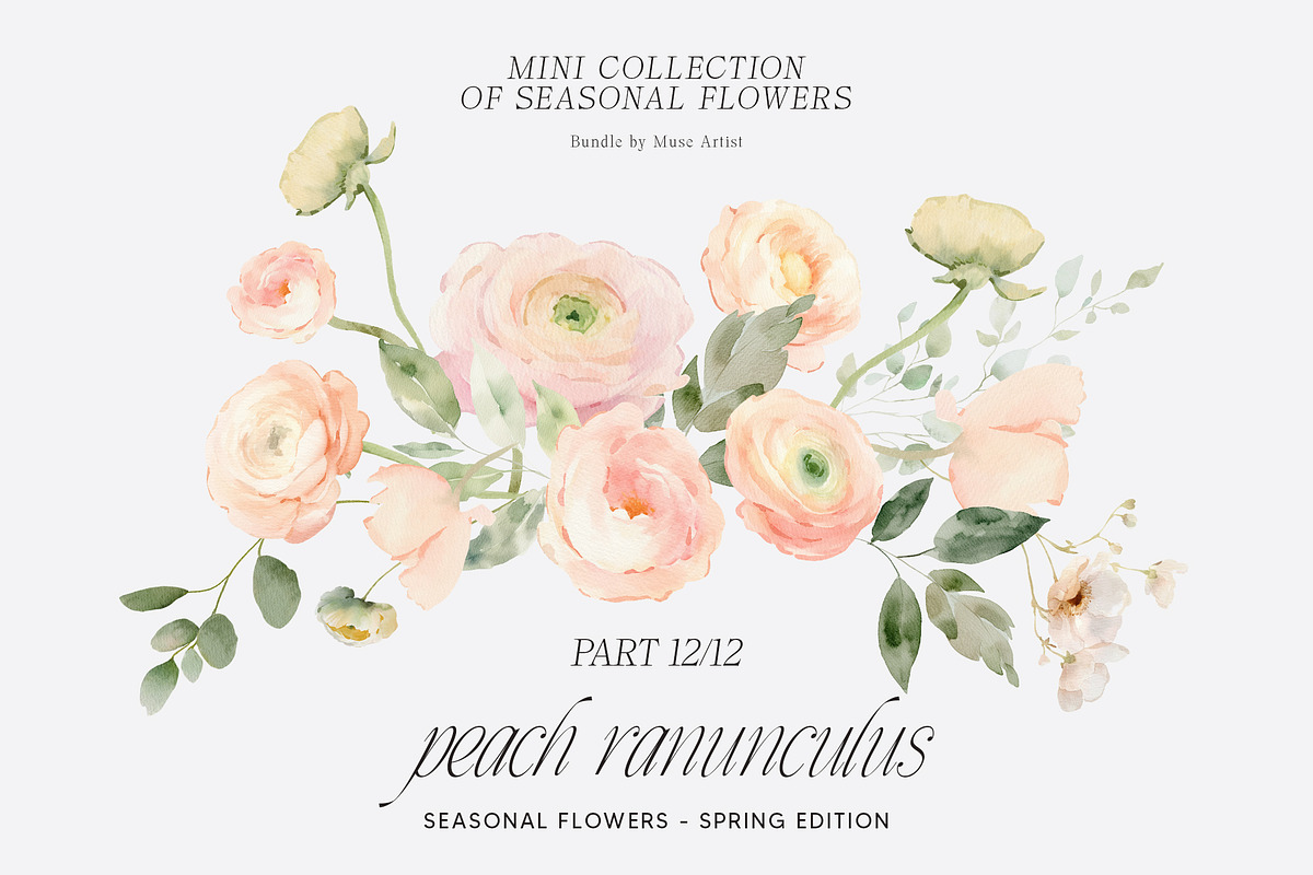 SPRING BOX Watercolor Bundle 400+, a Decorative Illustration by Muse Artist (Photo 92 of 99)
